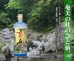 奄美の杜.jpg