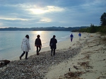 f 046.jpg
