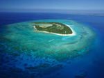 minnajima.jpg